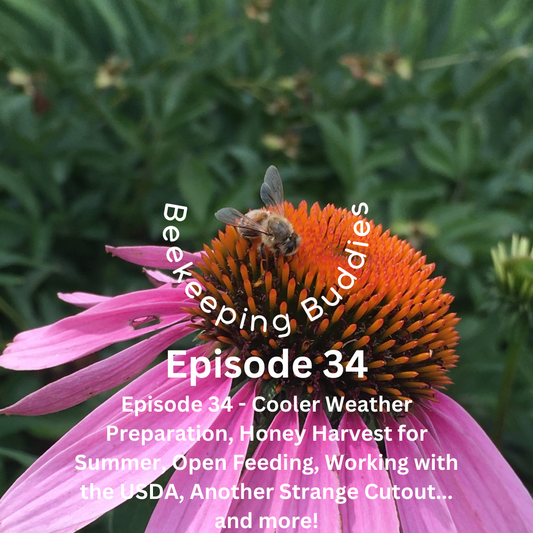 Episode 34 - Cooler Weather Preparation, Honey Harvest for Summer, Open Feeding, Working with the USDA, Another Strange Cutout... and Important Bee News!