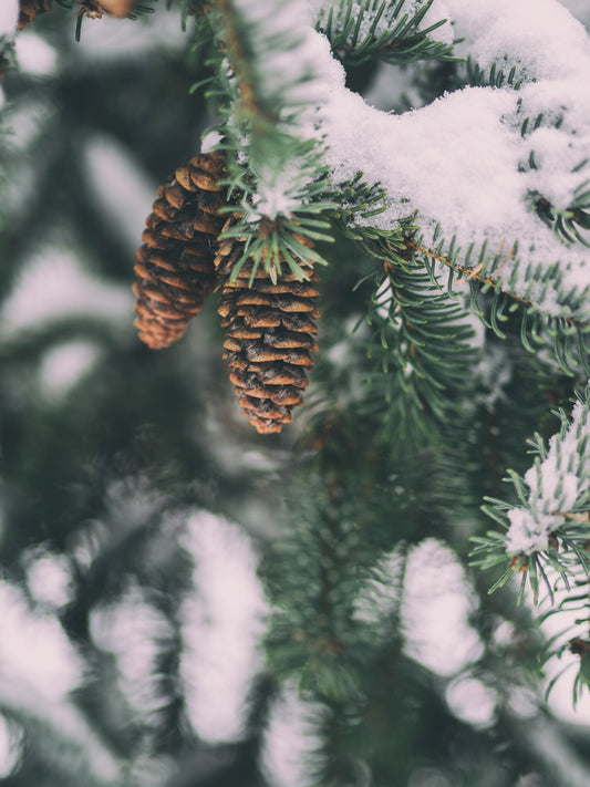 December - Weight, wait, and plan