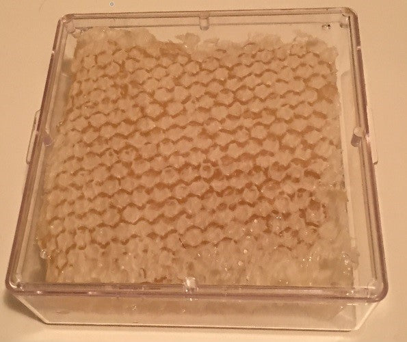 Cut Comb Honey from the Illinois Valley River Basin