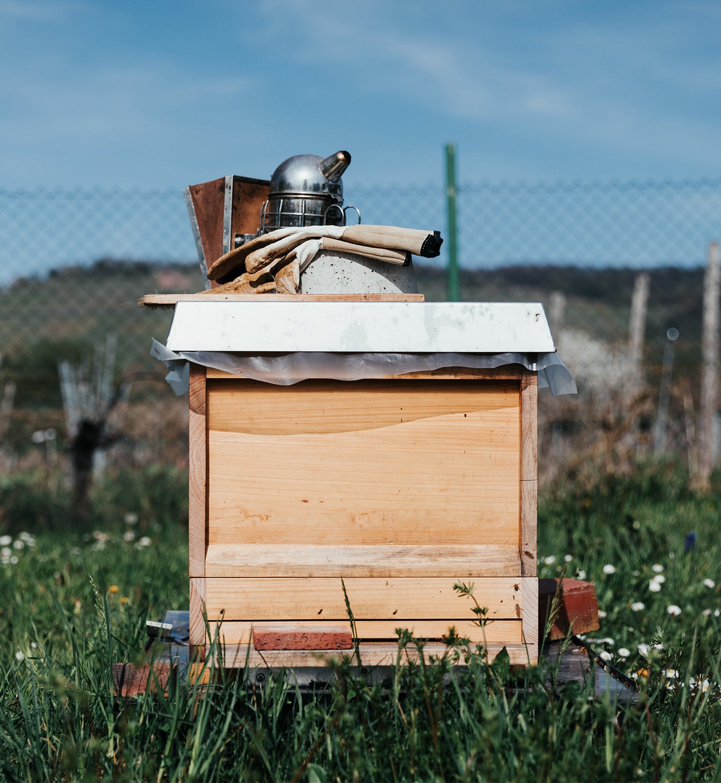 Honey Bee Stewardship