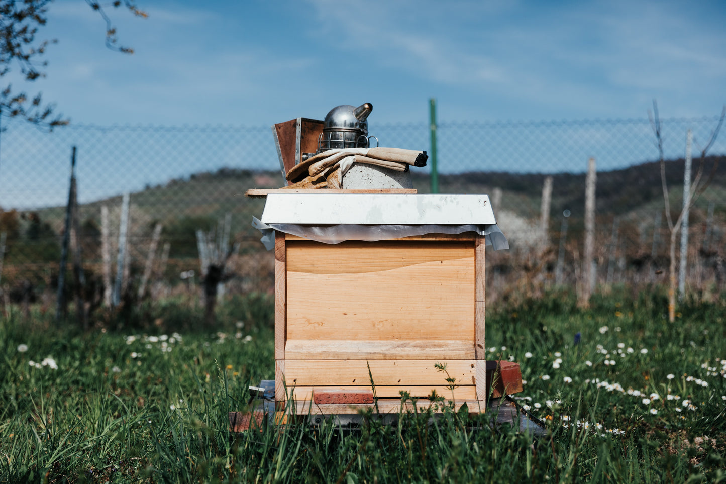 Spring 2026 Beginner Beekeeping Course