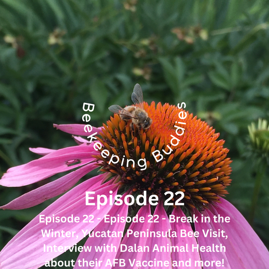 Episode 22 - Break in the Winter, Luke's Yucatan Peninsula Bee Visit, Interview with Dalan Animal Health about their AFB Vaccine and more!