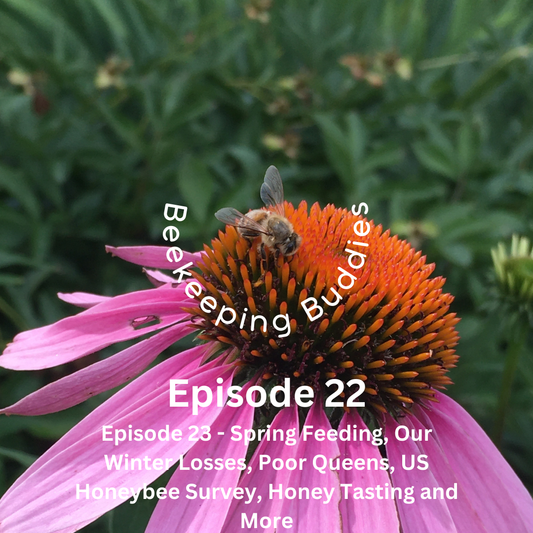 Episode 23 - Spring Feeding, Our Winter Losses, Poor Queens, US Honeybee Survey, Honey Tasting and More