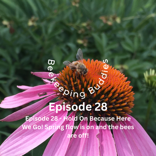 Episode 28 - Hold On Because Here We Go! Spring flow is on and the bees are off!