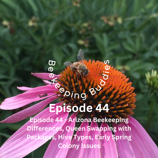 Episode 44 - Beekeeping in Arizona with Honey Hives Farm, Package Queen Swapping, Hive Body Types and more!