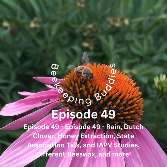Episode 49 - Rain, Dutch Clover, Honey Extraction, State Association Talk, and IAPV Studies, Different Beeswax, and more!