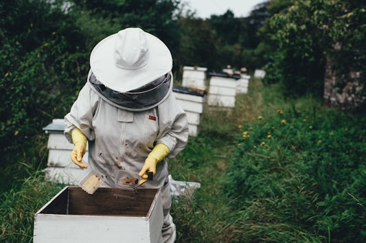 Episode 4 - Making New Beekeepers, EPA Legislation, Splitting Medium Frames