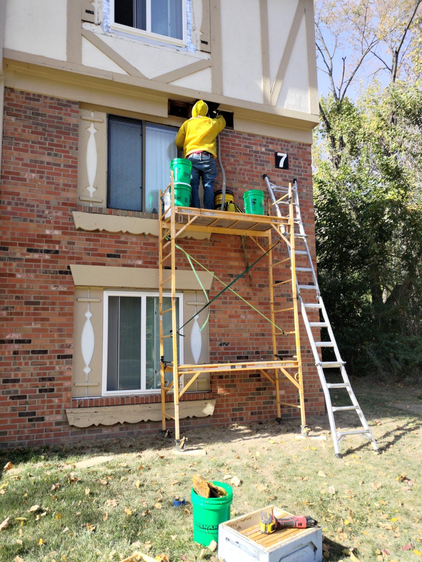 Honeybee Hive Removal