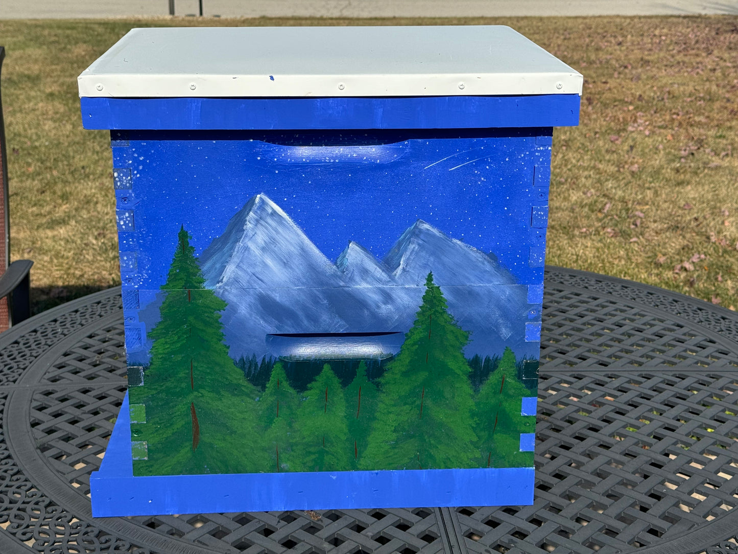 Custom Painted Mountain Drive Beehive