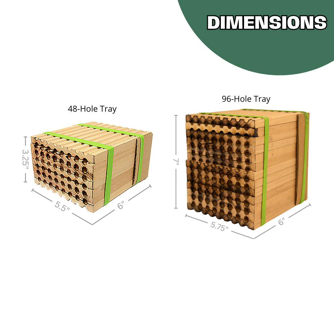 Spring Reusable Wood Trays for Mason Bees - 8mm